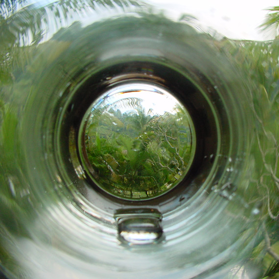 Message in a bottle